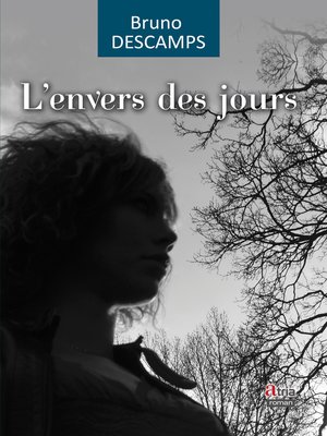 cover image of L'envers des jours